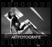 Fotogalerie: Aktphotographie